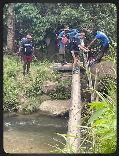 Photo from customer review