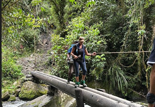 Photo from customer review